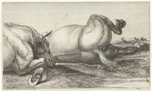 Two Horses Killed in Action Lying in a Row